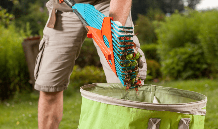 Yard Waste Removal